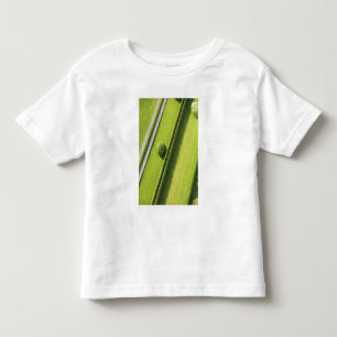 Camiseta De Bebé Seto en el Hamptons