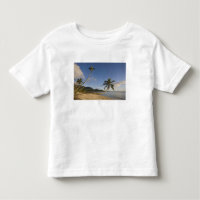 Seychelles, isla de Mahe, palma horizontal,