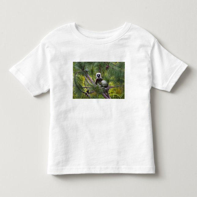 Camiseta De Bebé Sifaka de Coquerel en el bosque (Anverso)