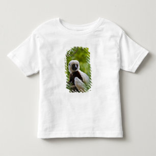 Camiseta De Bebé Sifaka de Coquerel en el bosque 2
