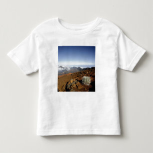 Camiseta De Bebé Silversword en el borde del cráter Haleakala desde