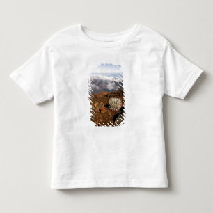 Camiseta De Bebé Silversword en el borde del cráter Haleakala desde