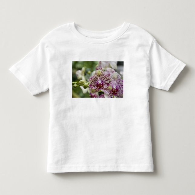 Camiseta De Bebé Singapur (sánscrito para Ciudad León). Nacional (Anverso)