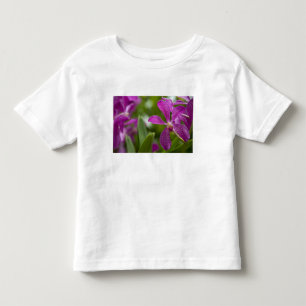Camiseta De Bebé Singapur (sánscrito para Ciudad León). Nacional