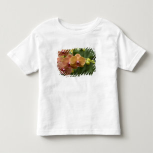Camiseta De Bebé Singapur (sánscrito para Ciudad León). Nacional 2
