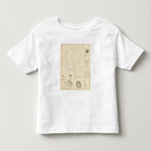 Camiseta De Bebé Sismogramas 3 de California