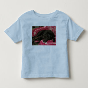 Camiseta De Bebé Sleepy Dog Toddlers Ringer T-Shirt