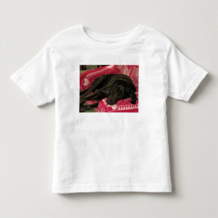 Camiseta De Bebé Sleepy Dog Toddlers T-Shirt