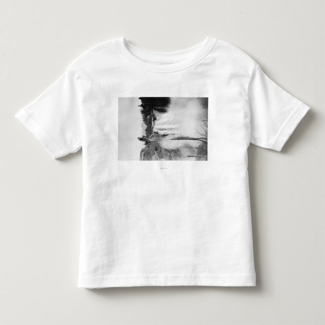 Camiseta De Bebé Snoqualmie, WA - caídas y fotografía de la casa de (Anverso)