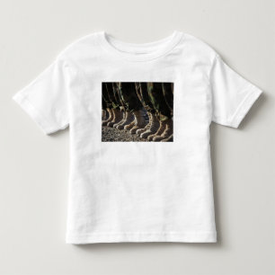 Camiseta De Bebé Soldados del Cuerpo Aéreo del Ejército Nacional Af