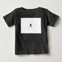 Spider iccnm