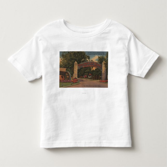 Camiseta De Bebé St Augustine, FL - fuente de la entrada de la (Anverso)