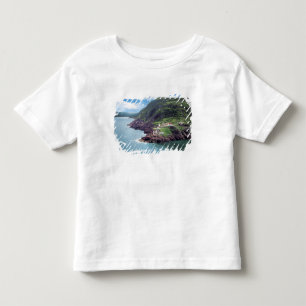 Camiseta De Bebé St. John's, Terranova, Canadá, fuerte histórico