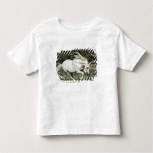 Camiseta De Bebé Stallion andaluz en ejecución, PR