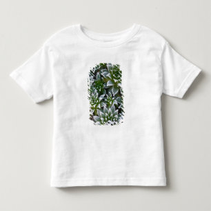 Camiseta De Bebé suculenta Hen & Chicks con escarcha temprano