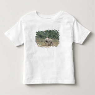 Camiseta De Bebé Sudáfrica, Parque Nacional Addo Elephant. Bebé
