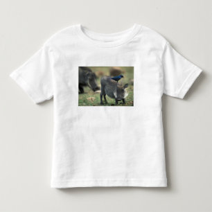 Camiseta De Bebé Sudáfrica, Pilanesburg GR, jabalí verrugoso