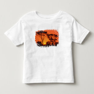 Camiseta De Bebé Sudáfrica. Puesta de sol africana.