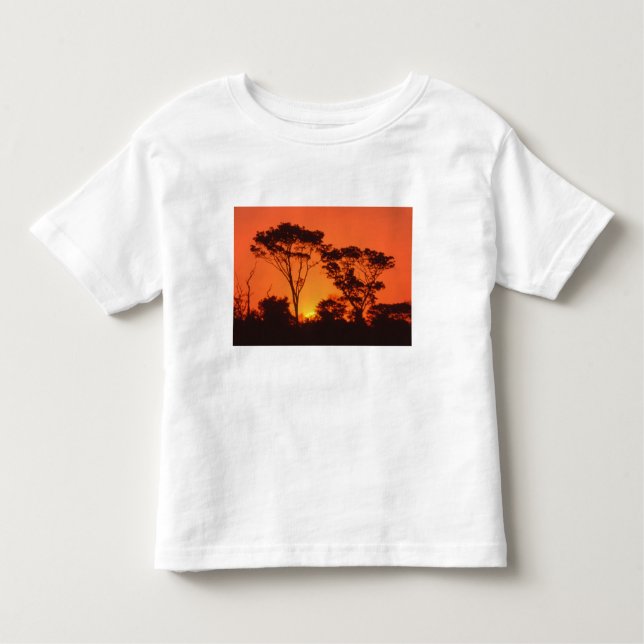 Camiseta De Bebé Sudáfrica. Puesta de sol africana. (Anverso)