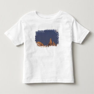 Camiseta De Bebé Sudamérica, Argentina, Patagonia Parque