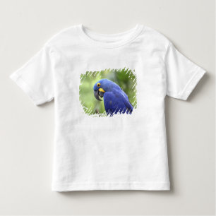 Camiseta De Bebé Sudamérica, Brasil, Pantanal