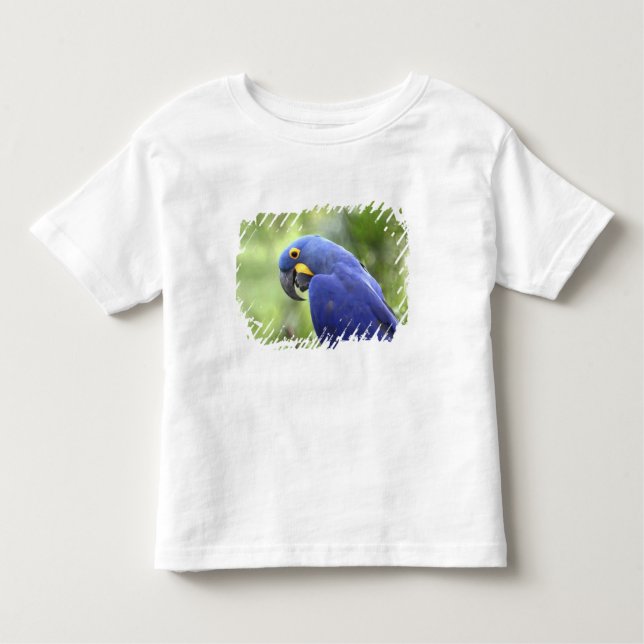 Camiseta De Bebé Sudamérica, Brasil, Pantanal (Anverso)