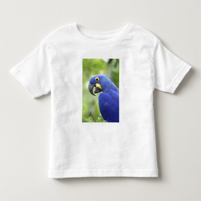 Camiseta De Bebé Sudamérica, Brasil, Pantanal (Anverso)