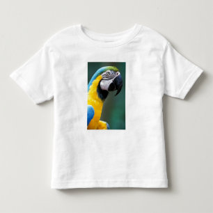 Camiseta De Bebé Sudamérica, Brasil, Parque Nacional Iguazú,