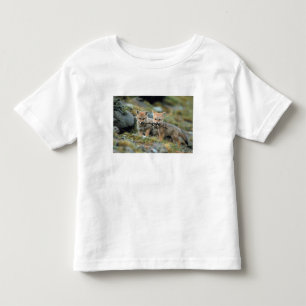 Camiseta De Bebé Sudamérica, Chile, Torres del Paine Nacional