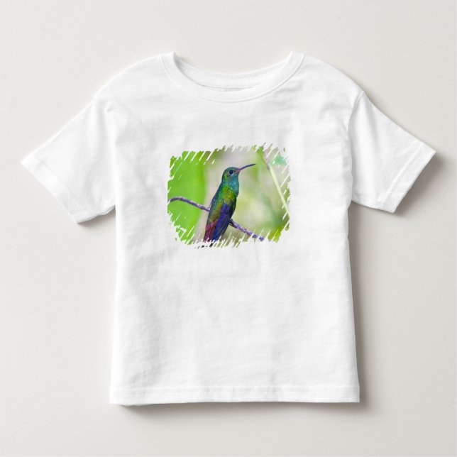 Camiseta De Bebé Sudamérica, Costa Rica, Sarapiqui, La Selva (Anverso)