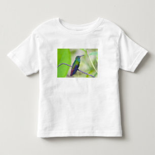 Camiseta De Bebé Sudamérica, Costa Rica, Sarapiqui, La Selva