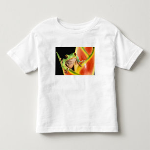 Camiseta De Bebé Sudamérica, Ecuador, Amazonas. Rana de árbol
