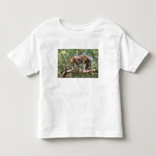 Camiseta De Bebé Sudamérica, Ecuador, Amazonia. Ocelote