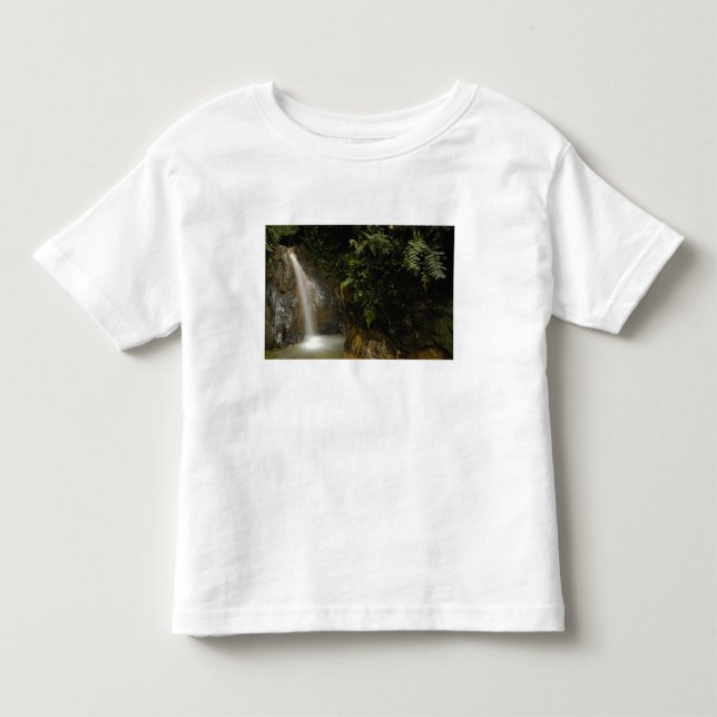 Camiseta De Bebé Sudamérica, Ecuador, vertiente oriental de la (Anverso)