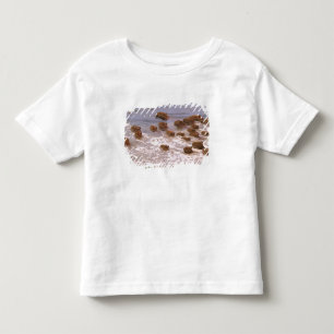 Camiseta De Bebé Sudamérica, Venezuela, región de los Llanos.
