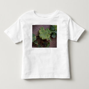 Camiseta De Bebé ¿Suertudo o determinado? Día de San Patrón Shamroc