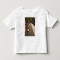 Suiza, Cantón Ticino, Lugano. Lakefrona