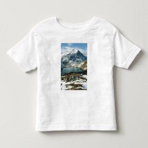 Camiseta De Bebé Suiza, Grindelwald, Alpes Berneses, Vista