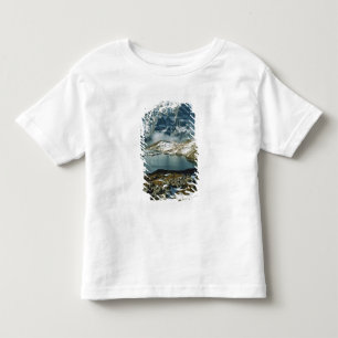 Camiseta De Bebé Suiza, Grindelwald, Alpes Berneses, Vista