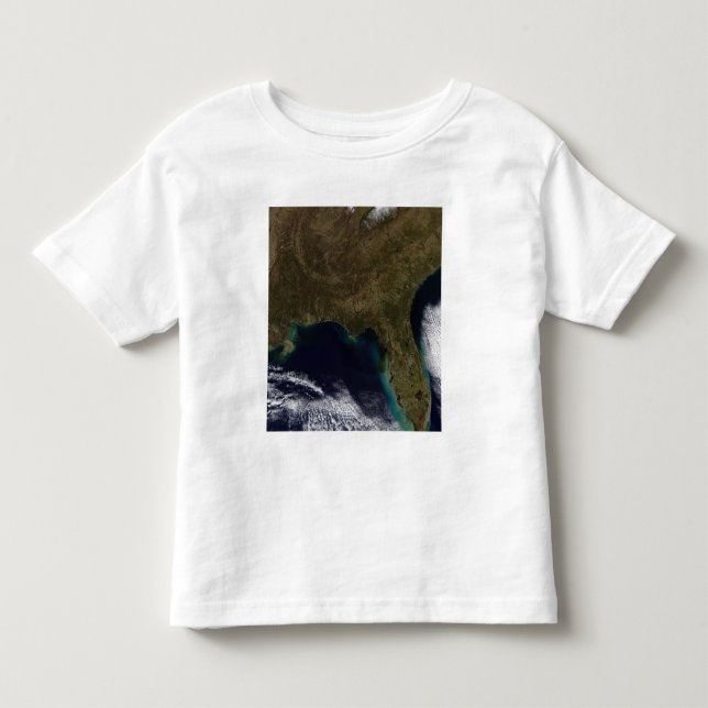 Camiseta De Bebé Sureste de Estados Unidos (Anverso)