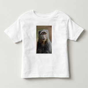 Camiseta De Bebé Sykes o Blue Monkey, Cercopithecus mitis,