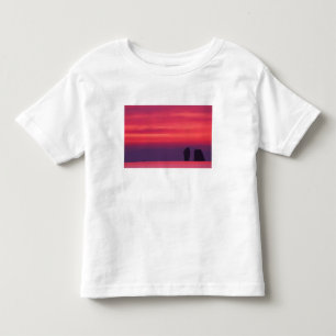 Camiseta De Bebé Tailandia, Phang Nga Bay. El cielo rosa reflejado 