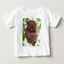 Tarsier filipino