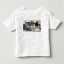 Taza de los gatitos de los mejores amigos