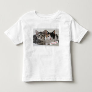 Camiseta De Bebé Taza de los gatitos de los mejores amigos