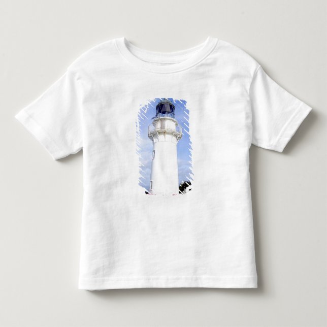Camiseta De Bebé Te Araroa, Nueva Zelanda. Un faro da (Anverso)