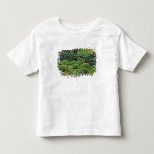 Camiseta De Bebé Templo Sanzen-in, Ohara, Kyoto, Japón 3