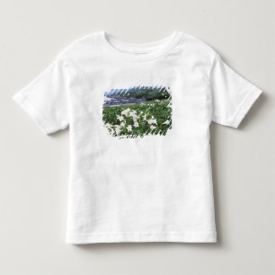 Camiseta De Bebé Teppo Yuri (Lirio), Yakushima, Kagoshima, Japón