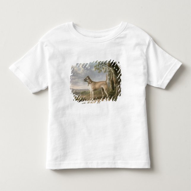 Camiseta De Bebé Terrier en una trayectoria en un paisaje enselvado (Anverso)