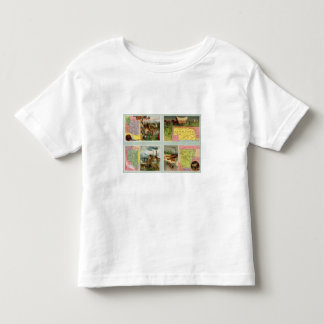 Camiseta De Bebé Territorio de Arizona, Nebraska, Nevada, Arkansas